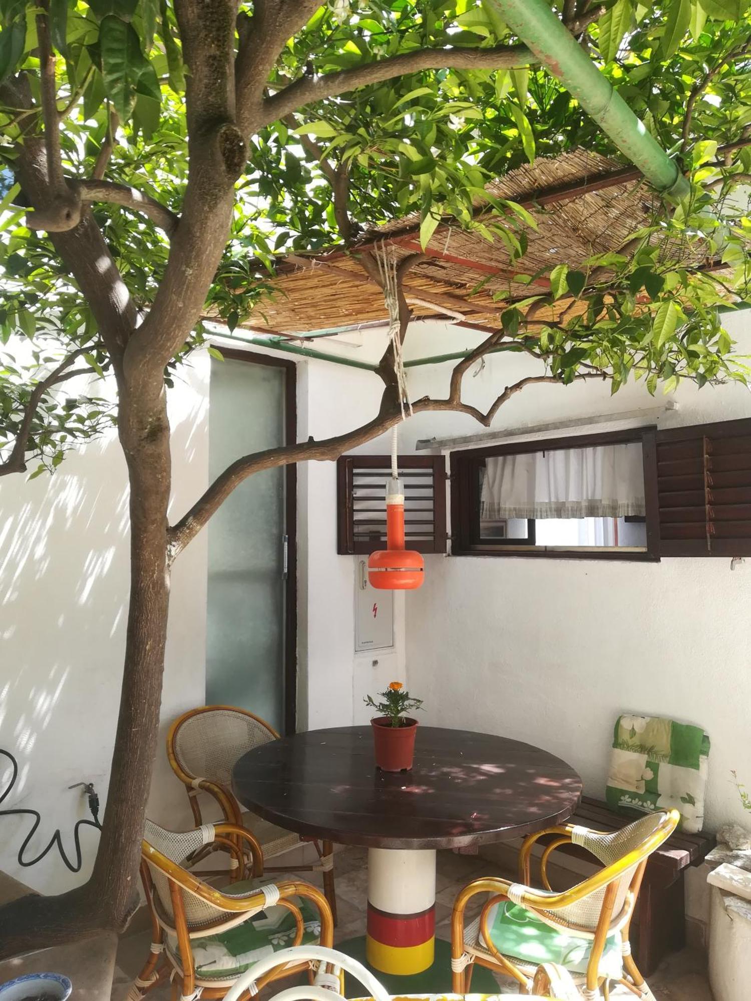 Apartman Karla Makarska Exterior foto